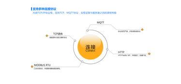 網(wǎng)絡(luò)技術(shù)服務(wù) 連接未來(lái)，賦能數(shù)字時(shí)代